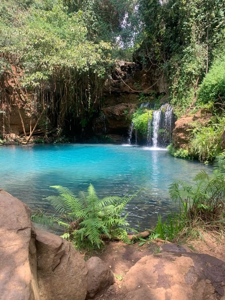 A waterfall and turquoise pool in Western Kenya — the home our students are growing up in